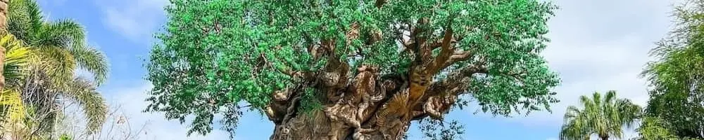 Destination Animal Kingdom