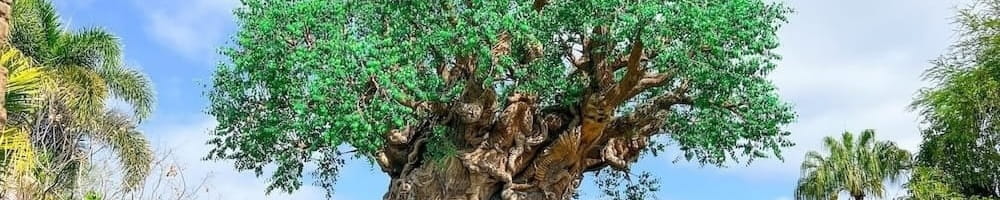 Destination Animal Kingdom