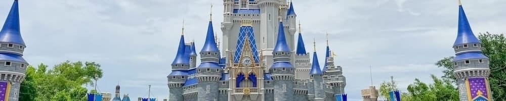 Destination Magic Kingdom